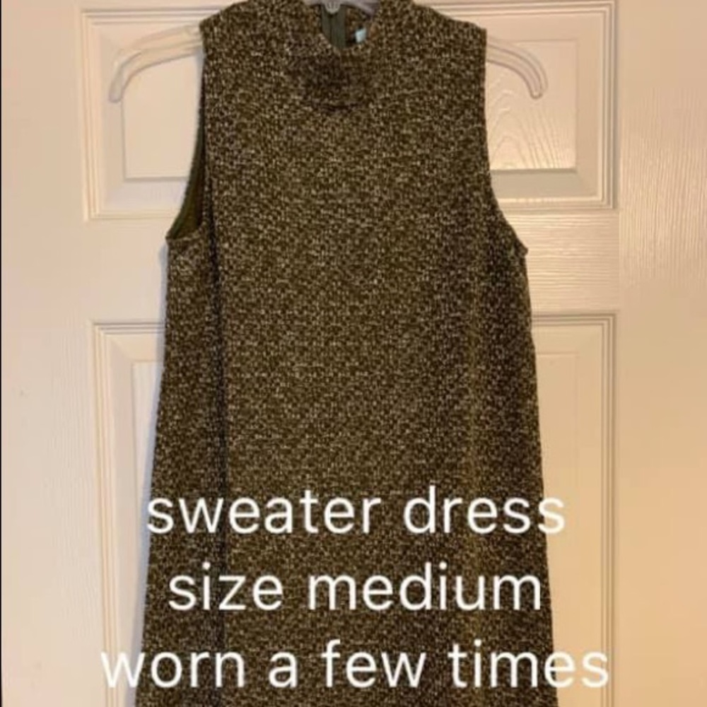 Turtle neck sweater dress